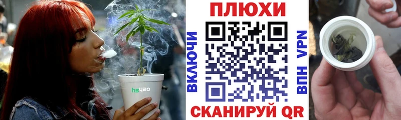 mega зеркало  Котельнич  Гашиш Premium  как найти наркотики 