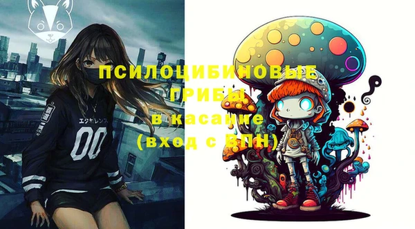 хмурый Краснослободск