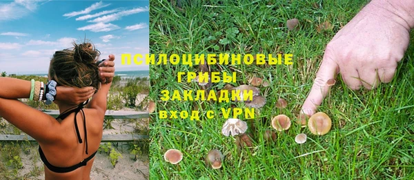 хмурый Краснослободск