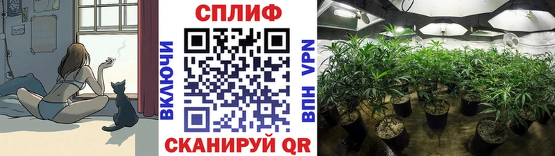 как найти наркотики  Котельнич  Канабис OG Kush 